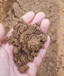 Хвойная-Неруд