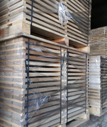 Банищанская дача