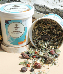 Энергия-Сибири