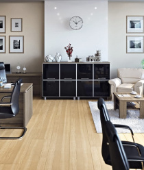 Темпометрика