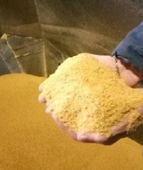 Славянский союз