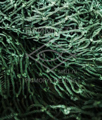 Фабрика Орудий Лова