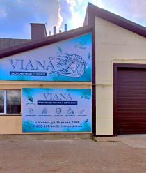 Виана