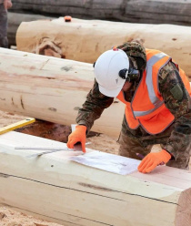 Ангарские терема