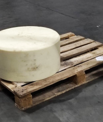 Челябинский завод блочного полиамида