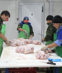 Халяль-Алькино