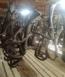 Энергия-Сибири