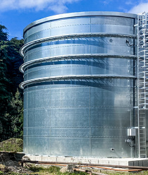 FLAMAX / ФЛАМАКС