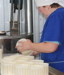 Султановская сыроварня