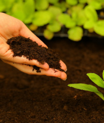 Русская торфяная компания (РТК)