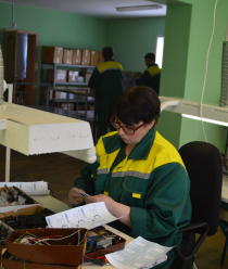 Электролидер