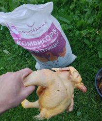Империя кормов