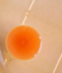 НПО Альтернатива