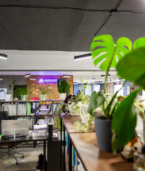 ТД Независимость (Атлант)