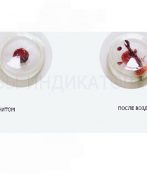 Пломбы-индикаторные