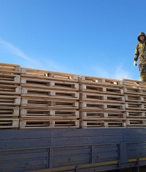 Поддоны новые