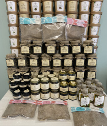 Энергия-Сибири