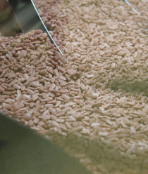 ФП Оболенское