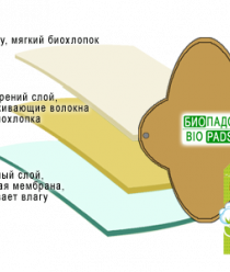 BioPads