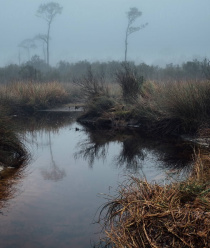 Первая северо-западная торфяная компания
