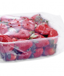 Полипак-Дон