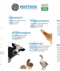 Надвоицкий завод ТДМ