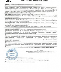 Тетрис-Групп