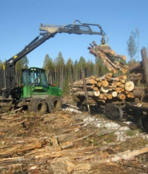 Вологодские лесопромышленники