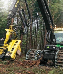 Вологодские лесопромышленники