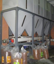 Кедровый Бор