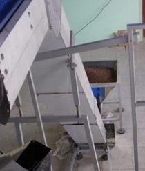 Кедровый Бор