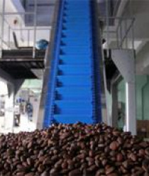 Кедровый Бор