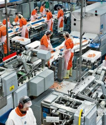 Торгово производственная рыбная компания