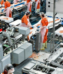 Торгово производственная рыбная компания