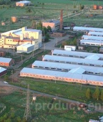 Кигбаевский бекон