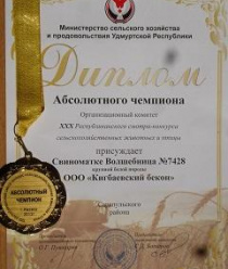 Кигбаевский бекон