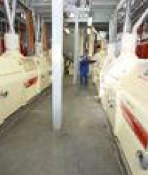 Топчихинский мелькомбинат