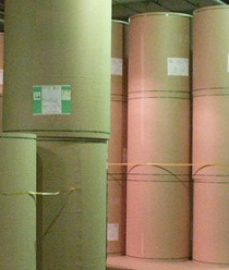 Сегежский целлюлозно-бумажный комбинат (Сегежабумпром)