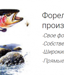 Карельская форель