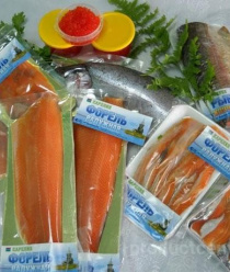 Карельская форель