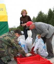 Ягоды Карелии