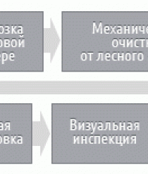 Ягоды Карелии