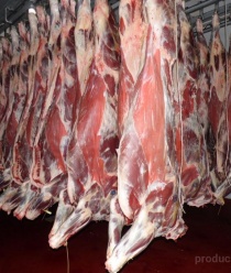 Карлинский