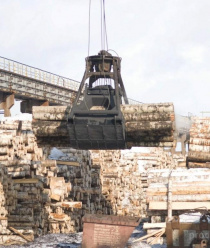 Архангельский фанерный завод (АФЗ)