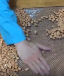 Живой продукт