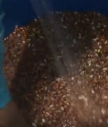 Живой продукт