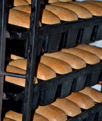 Сарептская мельница