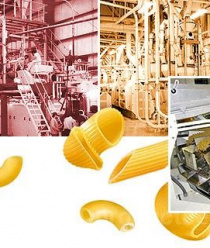 Америа Русс