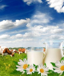 Красноярское молоко