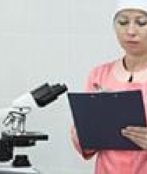 Алтайская Буренка